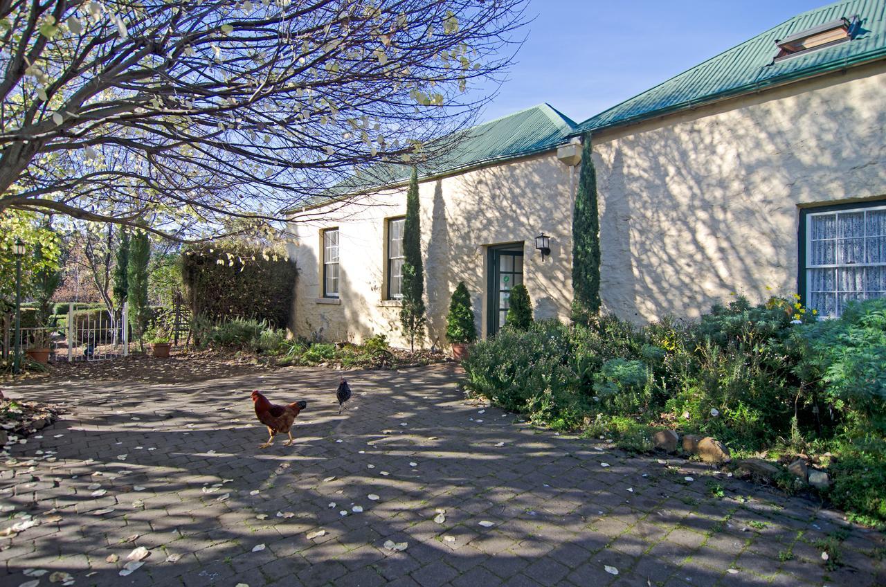 Risdon クリバーン ホームステッド Bed & Breakfast エクステリア 写真