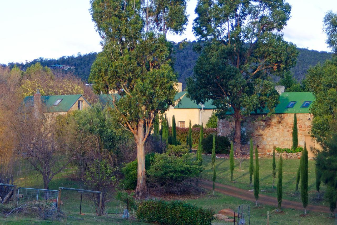 Risdon クリバーン ホームステッド Bed & Breakfast エクステリア 写真